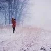 持续更新