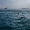 专业支持